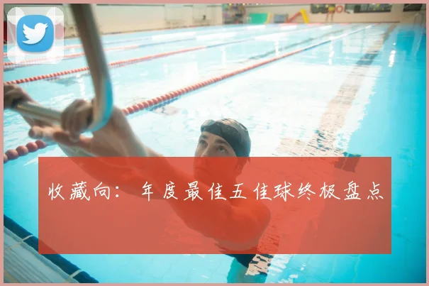 收藏向:年度最佳五佳球终极盘点