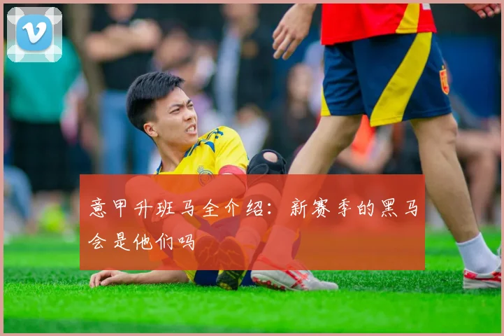 意甲升班马全介绍:新赛季的黑马会是他们吗